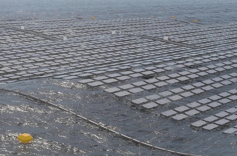 DNV Review Prepares Fred. Olsen's BRIZO Floating Solar System for Rougher Conditions